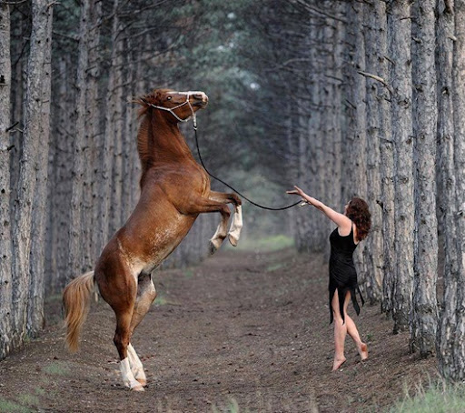 547439_171906302998145_2066069874_n