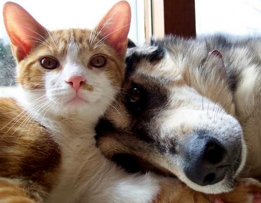 middle_1382801595279