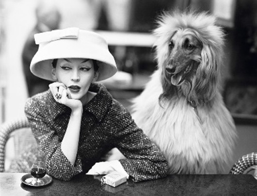 19e4f0be9e9504e78b1a2fac082537b9