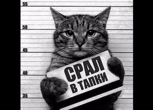 11205110_1601859126718857_7381338668233352568_n