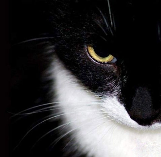 0f64ebebfd047584bba43b8e487