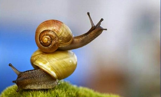 0_248854001309962646_taknaz_ir