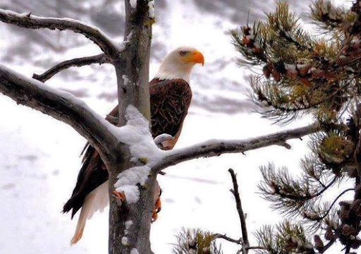 577339_171906922998083_142277218_n