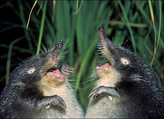 c5ae88a09d5665183fbe2d28dab