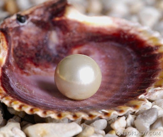 20100321_Pearl-Approved_large_thumb[6](2)