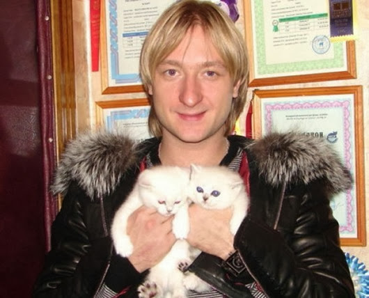 Znamenitosti_i_koshki