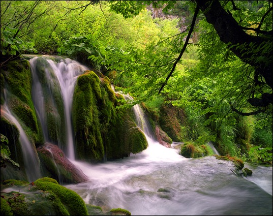 2225841949_2d4024dc94_o