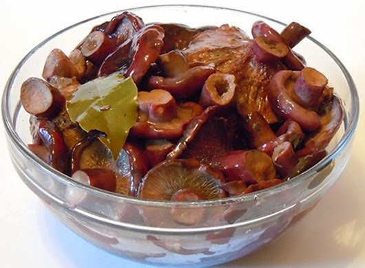 gruzdi_4ern_mini1-570x400