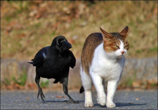 292850_215932568464096_100001420624452_616108_5459822_n