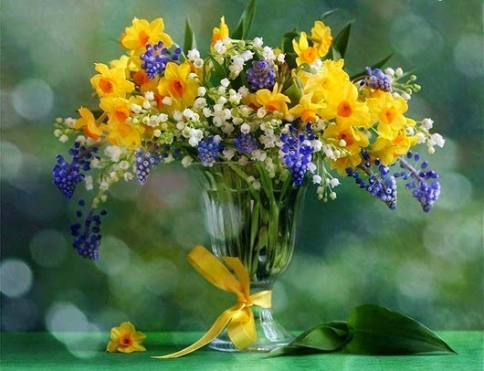 1465345_609747509062121_988256243_n