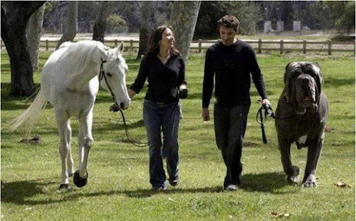 428706_343911038981933_1930194778_n