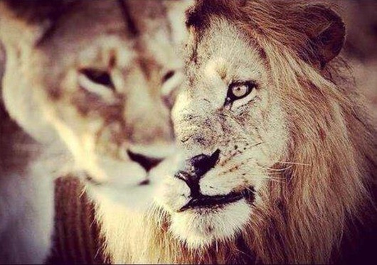 556561_318385171607051_1495275913_n