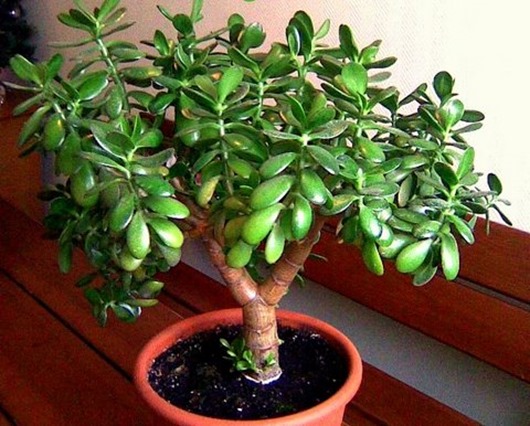 1326618153___________________