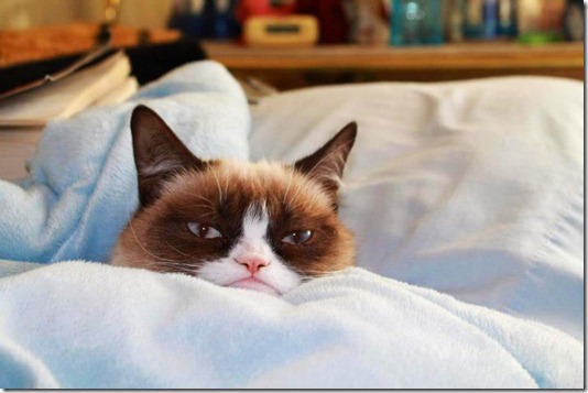 483439_473656516034035_598184031_n