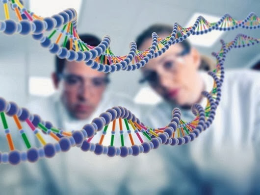 50ac30c2726349277e5f96a93a23c632