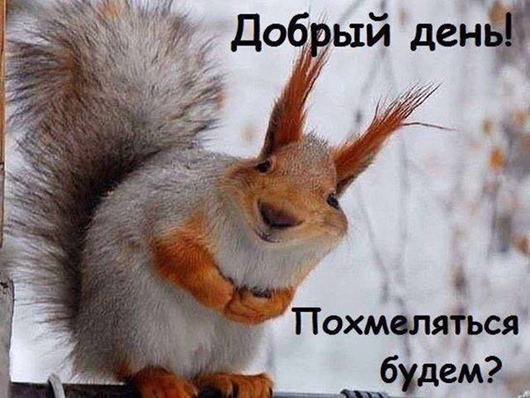 15826507_1355189731189369_7179521243993812424_n