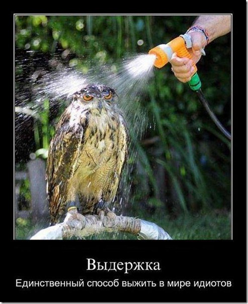 312536_278672175497242_100000633865780_945623_1238078356_n