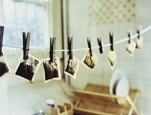 becti_net_r541684d25t33357n12