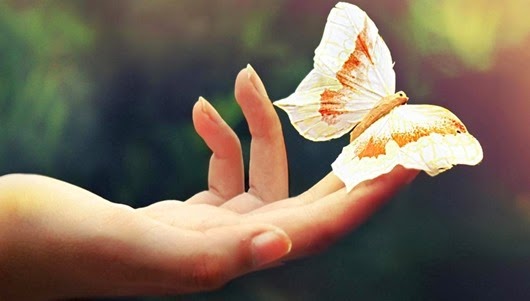 hq-wallpapers_ru_macro_56677_1280x1024