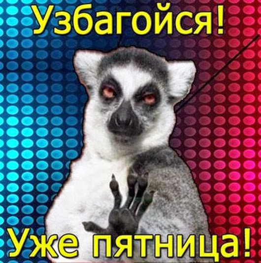 1239777_515937725165708_1552439415_n