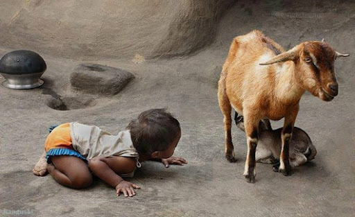 580251_157582781097164_1599266380_n