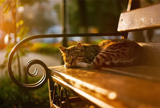 c1208d82fe2f21befd70ad5107cbba55