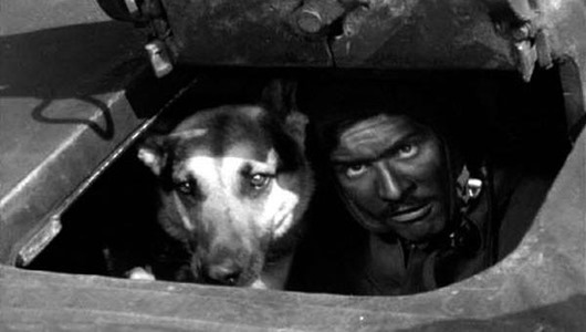 12036973_707978609335745_5721191358259361897_n