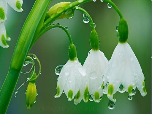 98982046_1364265907_Plk9GlJ_Qn0