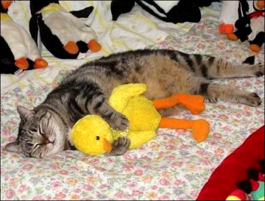 03ba831bb91e2f9ac9a0482df7e_prev