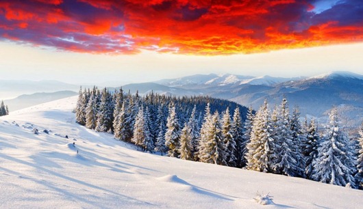 386767_510131789008566_847811018_n