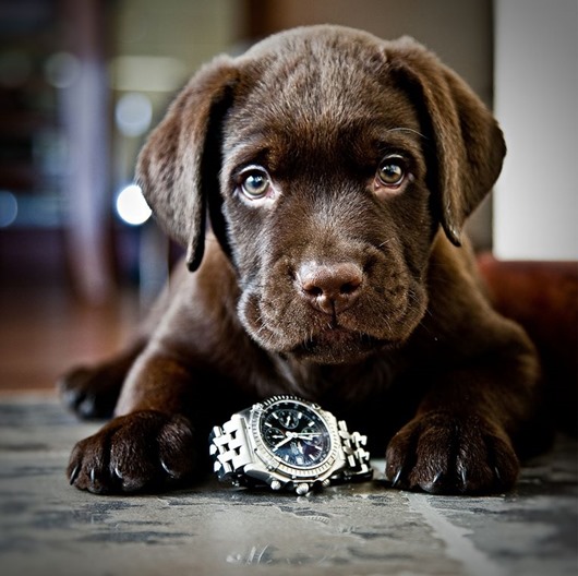 527405_10150685642214775_48227357_n