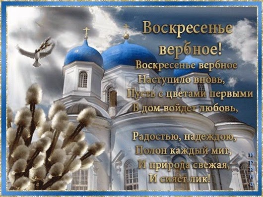 10173604_1448829088687710_8520560428888540737_n