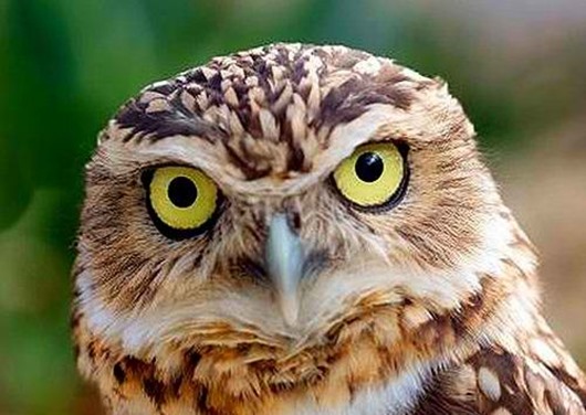 0_180722_324b9f6d_orig