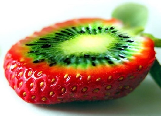 79160a1108f82ab9882b6853db1a472f