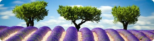 9oxrr-1359651218_1635