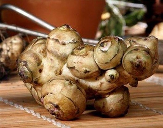 11146571_976392392401243_3002010767255487844_n