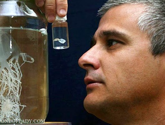 52138c5d8bfe5298fd8605df9df58ad6