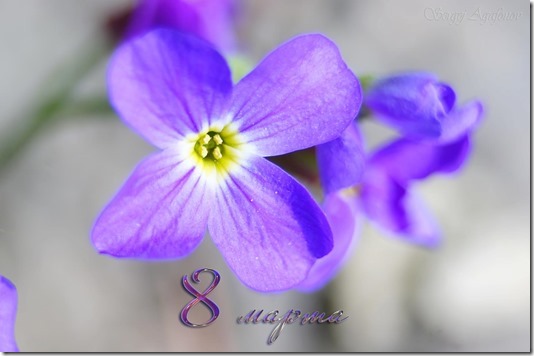 860487_441233409286986_701660906_o