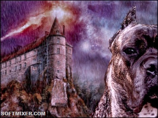 0001r29y-600x450_thumb[3]